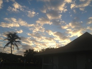 20130102-114945.jpg