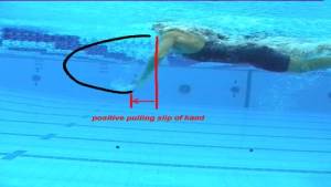 models_7652_image018