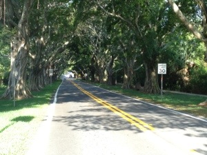 hobe-sound-cycling-dave-masterson.jpg