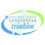 loggerhead logo